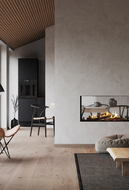VISIO 100 Tunnel gas fireplace insert with black steel frame separates living room and dining room