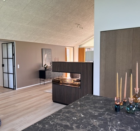 Bioethanol burner Panel Wall room divider in the living room