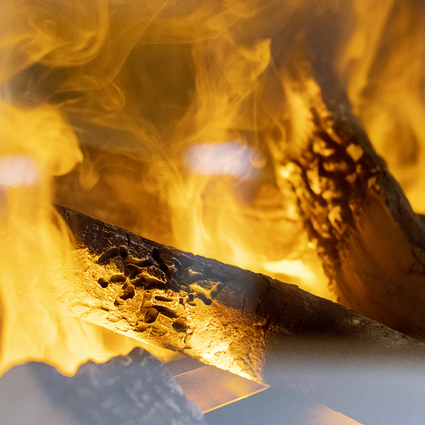 Electric fire, hybrid Mist, water vapour, wood logs